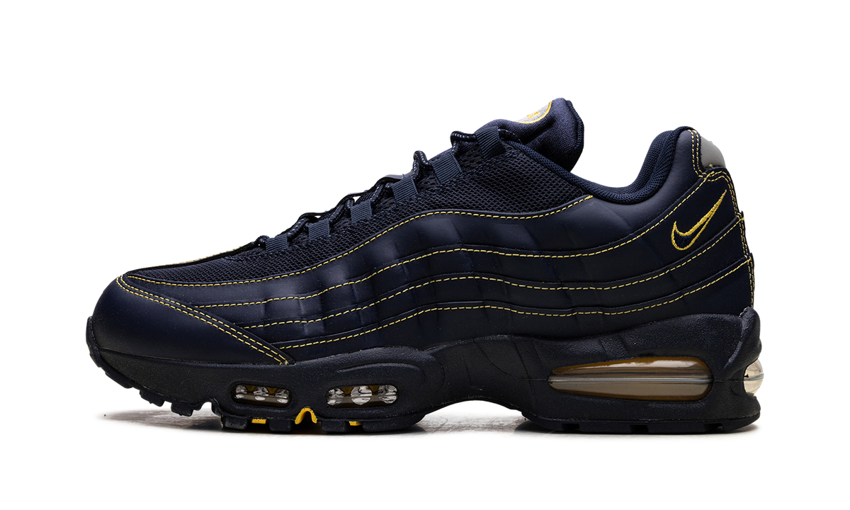 Air Max 95 "Michigan" IB7936 400