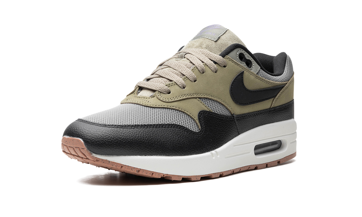 Air Max 1 "Dark Stucco" FB9660 003